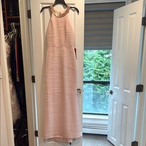 Carmen Marc Valvo Blush Backless Gown
